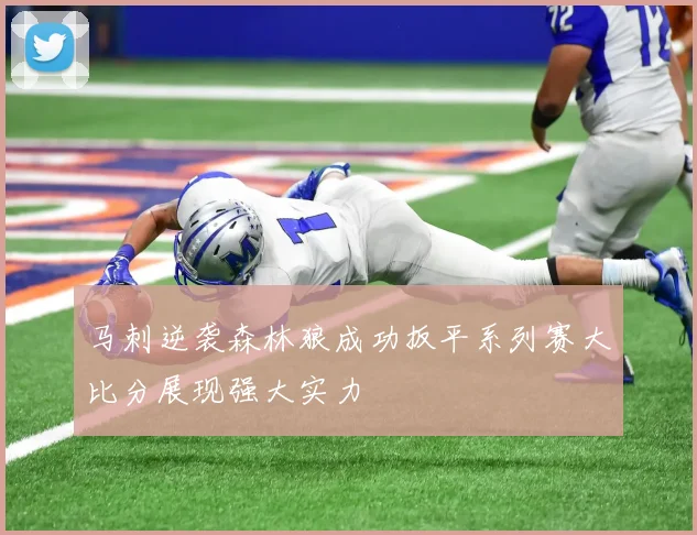 马刺逆袭森林狼成功扳平系列赛大比分展现强大实力